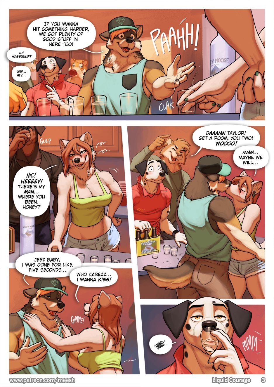 Page 3